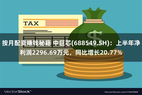 按月配资赚钱秘籍 中巨芯(688549.SH)：上半年净利润2296.69万元，同比增长20.77%