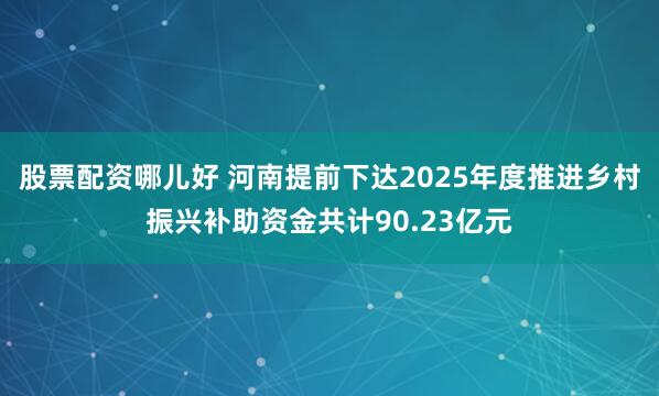 股票配资哪儿好 河南提前下达2025年度推进乡村振兴补助资金共计90.23亿元