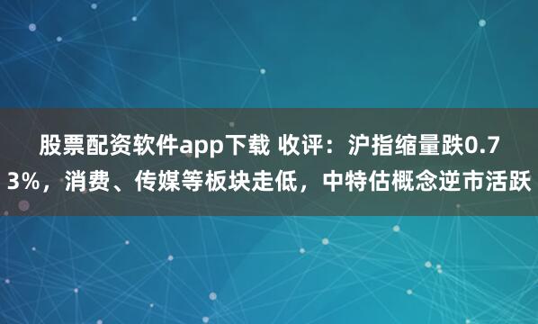 股票配资软件app下载 收评：沪指缩量跌0.73%，消费、传媒等板块走低，中特估概念逆市活跃