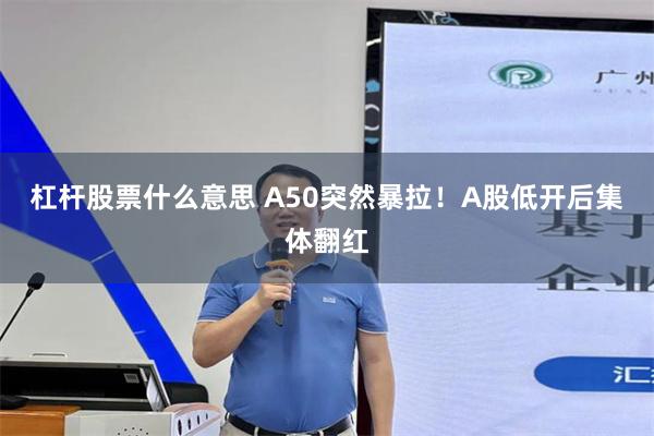 杠杆股票什么意思 A50突然暴拉！A股低开后集体翻红