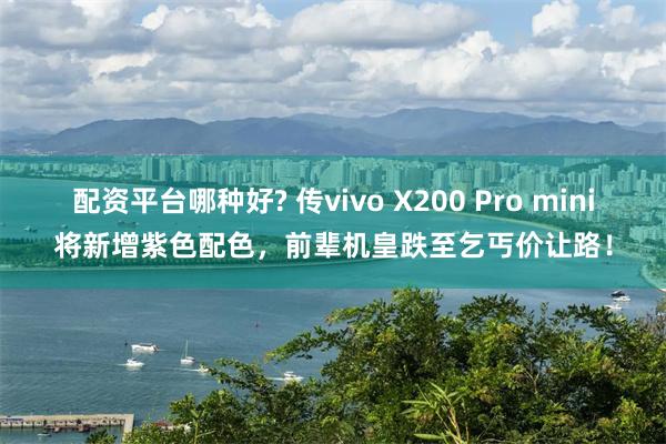 配资平台哪种好? 传vivo X200 Pro mini将新增紫色配色，前辈机皇跌至乞丐价让路！