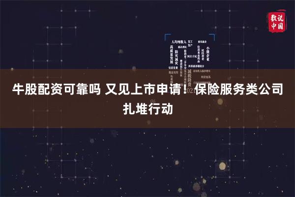 牛股配资可靠吗 又见上市申请！保险服务类公司扎堆行动