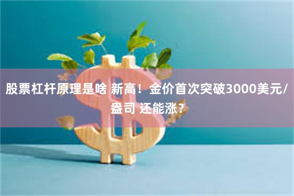 股票杠杆原理是啥 新高！金价首次突破3000美元/盎司 还能涨？